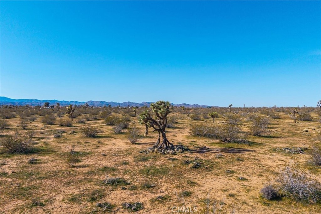 main property photo 52