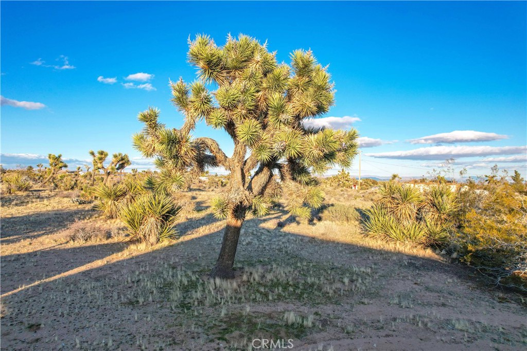 main property photo 31