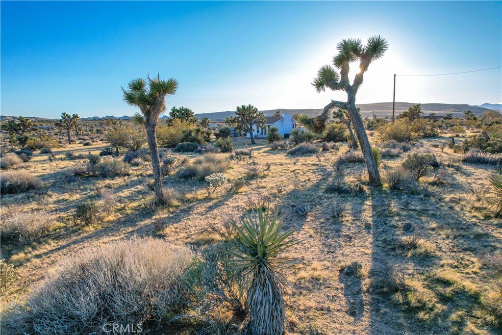 main property photo 36