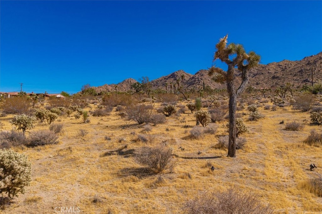 main property photo 45