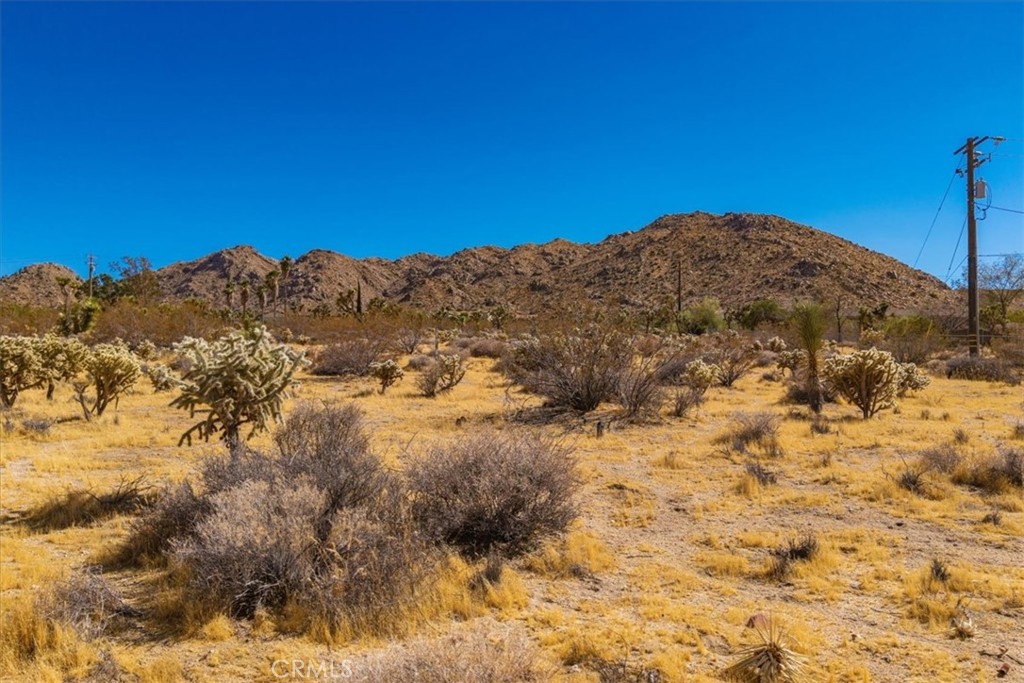main property photo 46