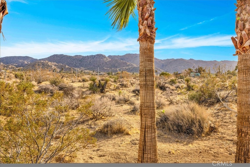 main property photo 61
