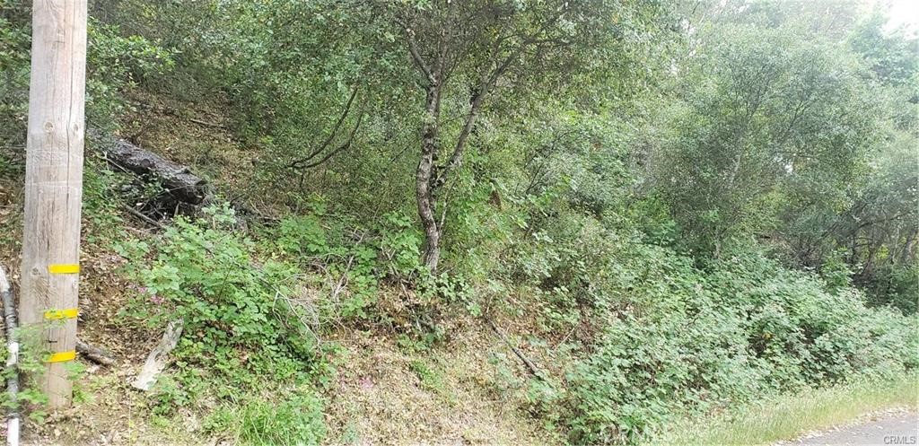 main property photo 10