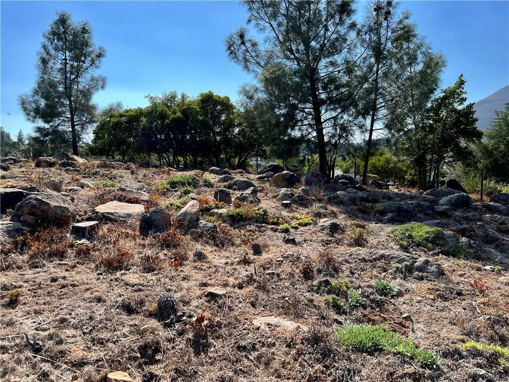 main property photo 10