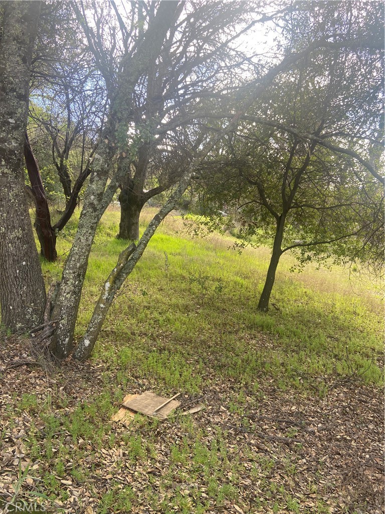 main property photo 11