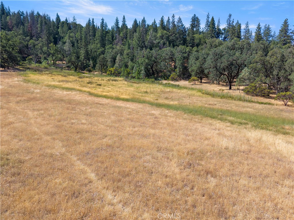 main property photo 58