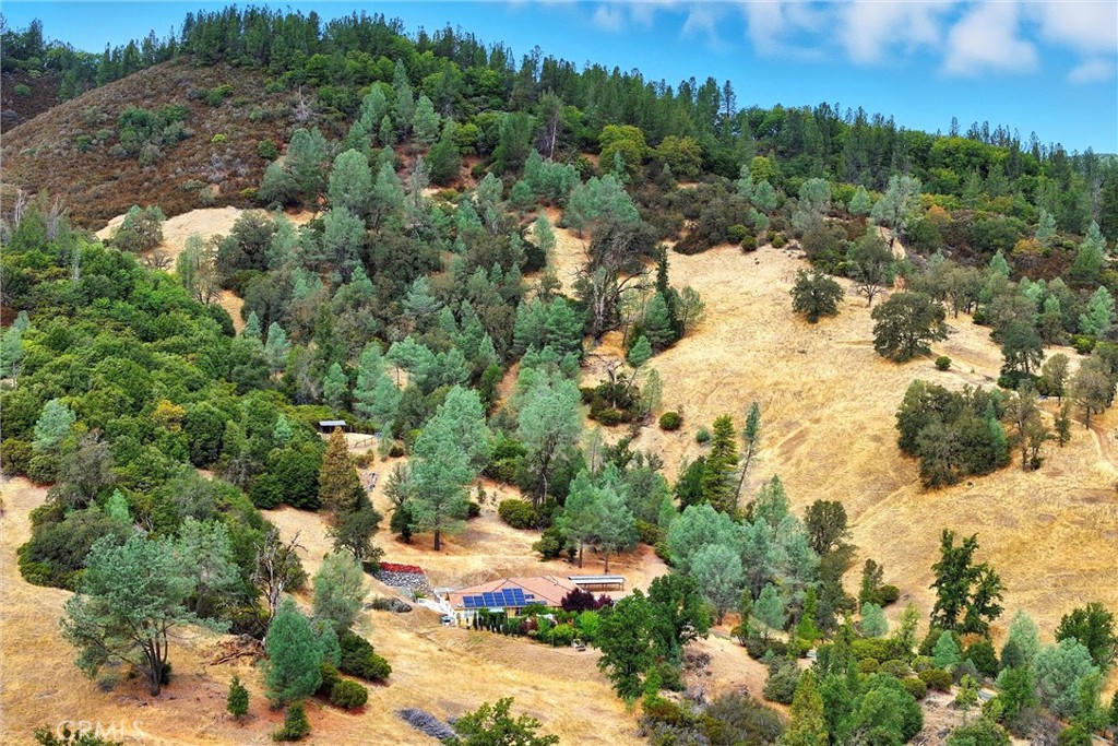 main property photo 41