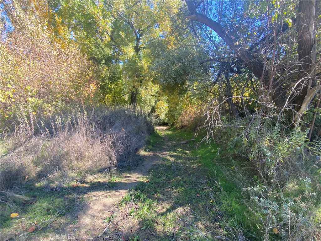 main property photo 29