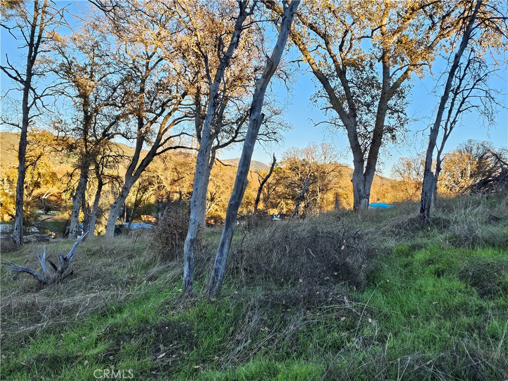 main property photo 19