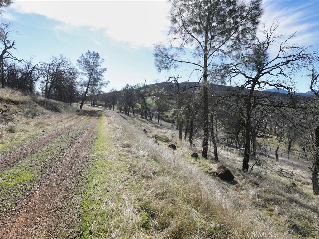 main property photo 16