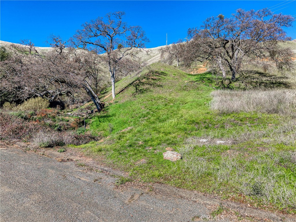 main property photo 14