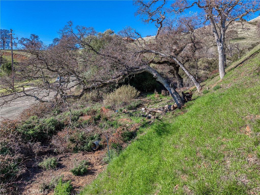 main property photo 16
