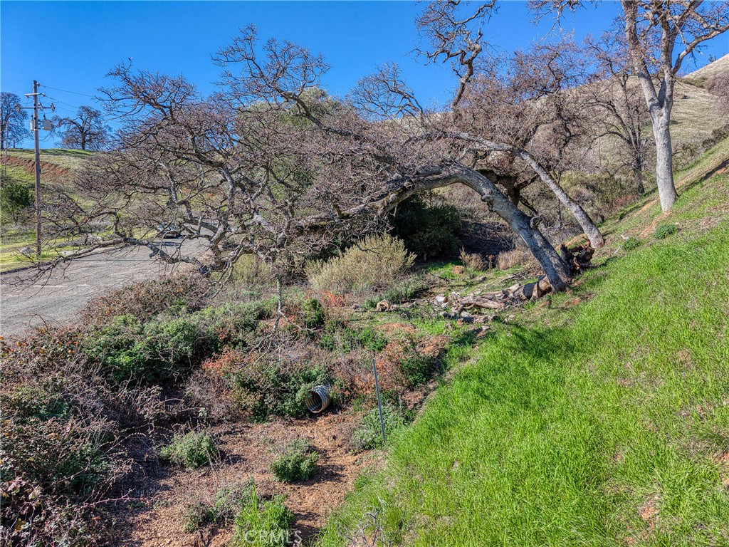 main property photo 23