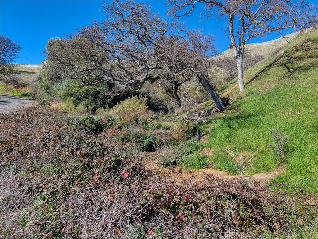main property photo 24