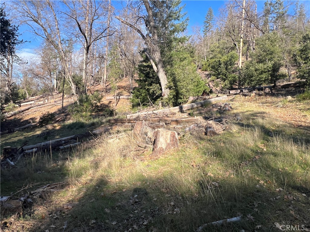 main property photo 14