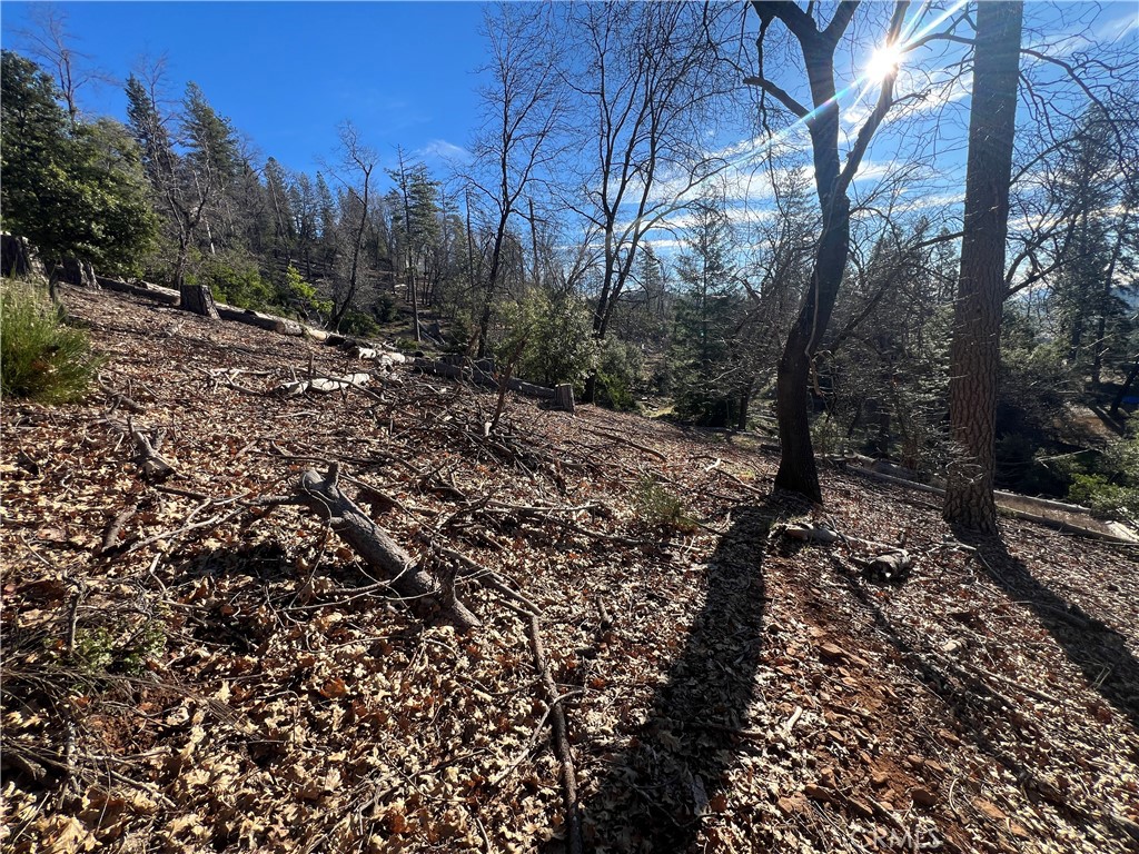 main property photo 16