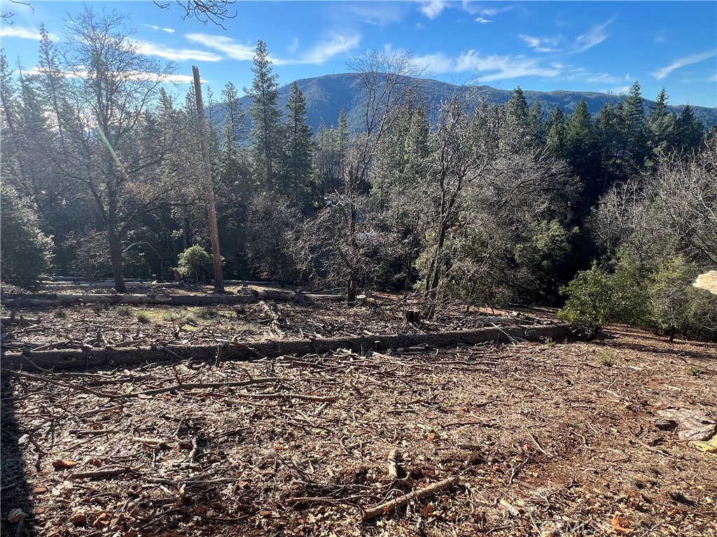 main property photo 19