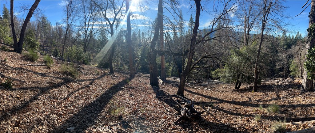 main property photo 21