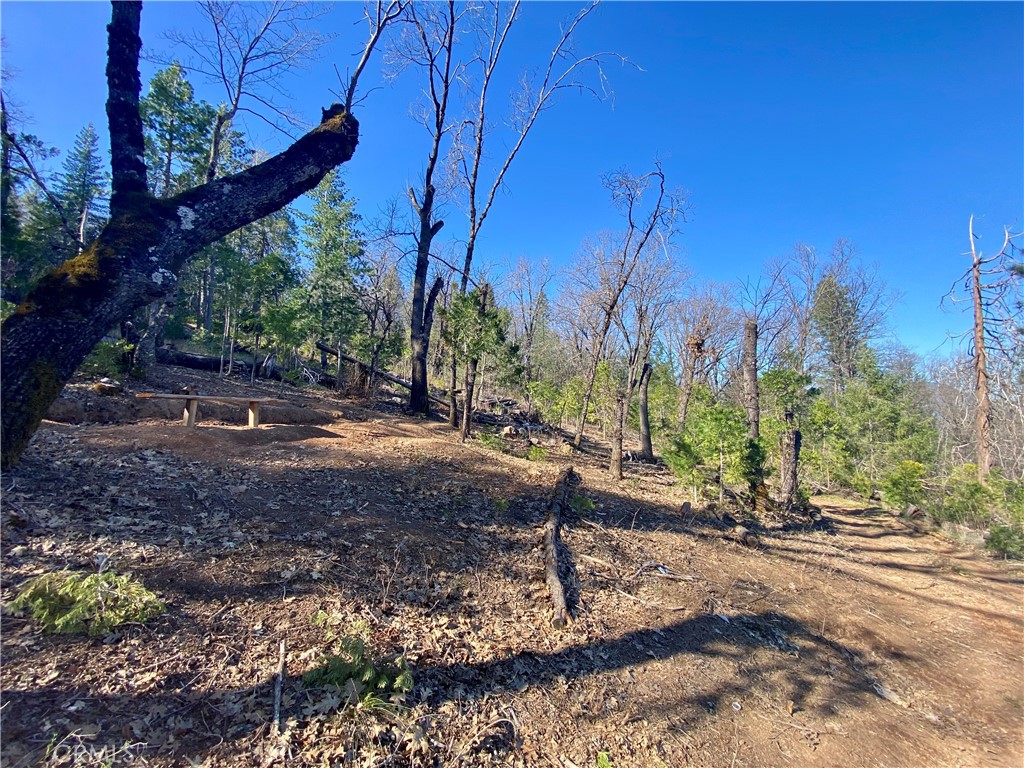 main property photo 10