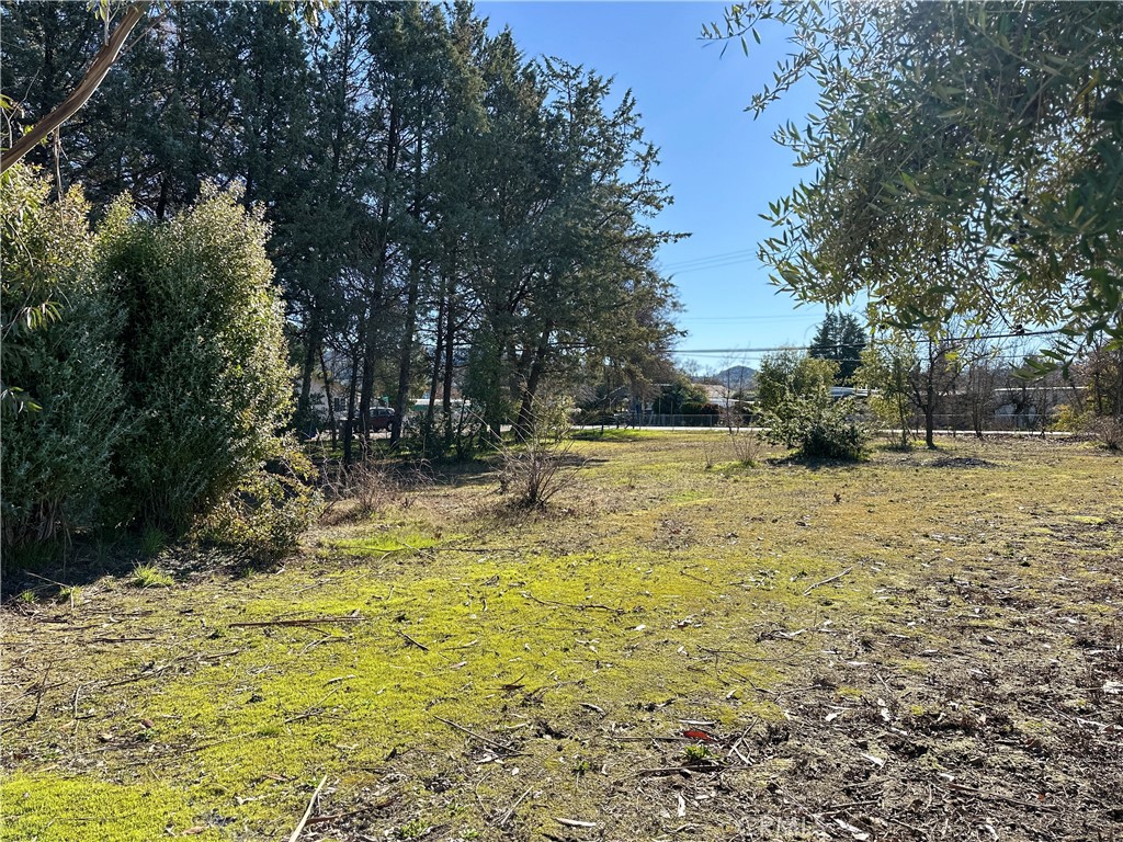 main property photo 36