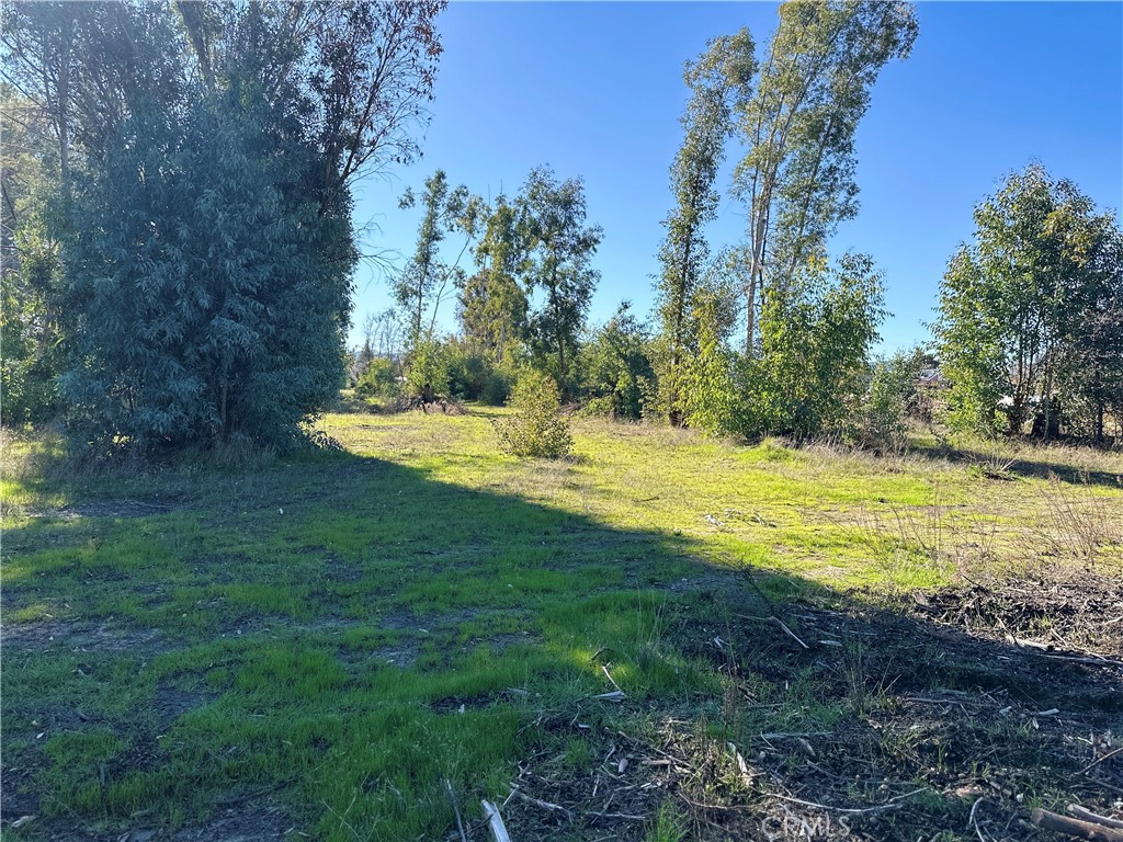 main property photo 45