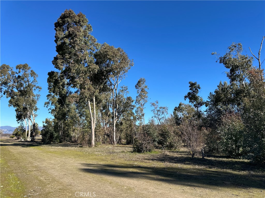 main property photo 48