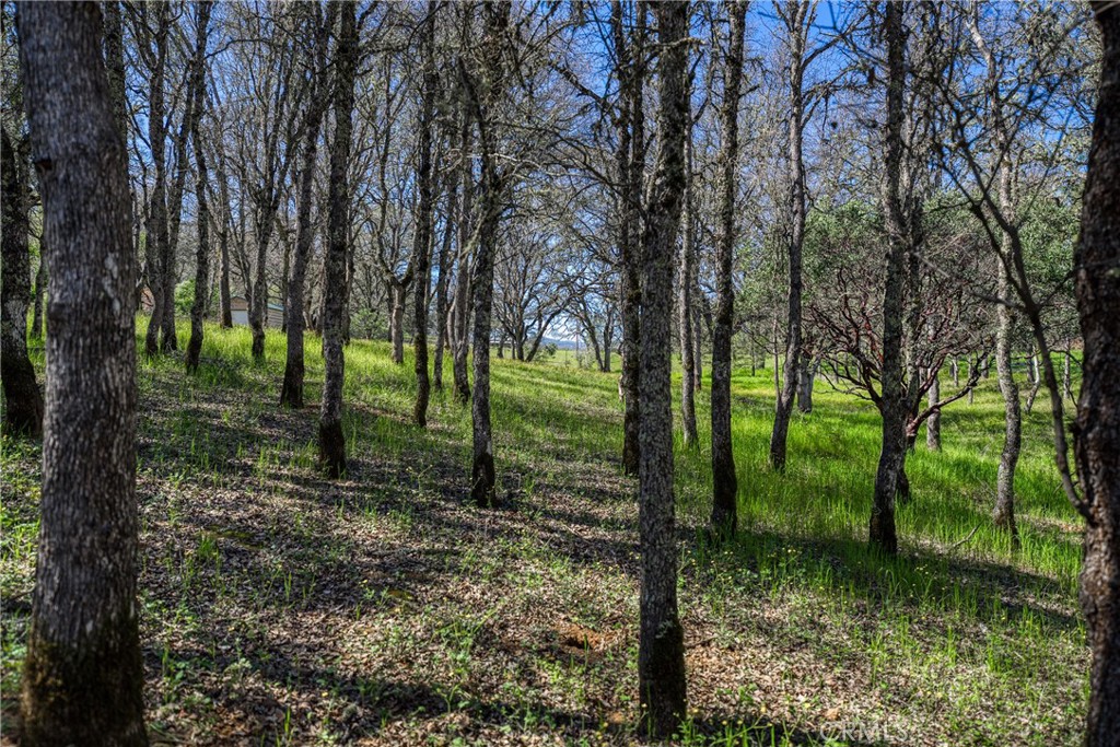 main property photo 51