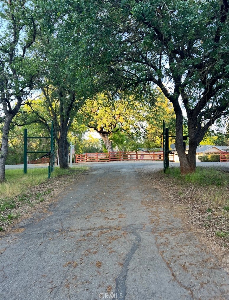 main property photo 56