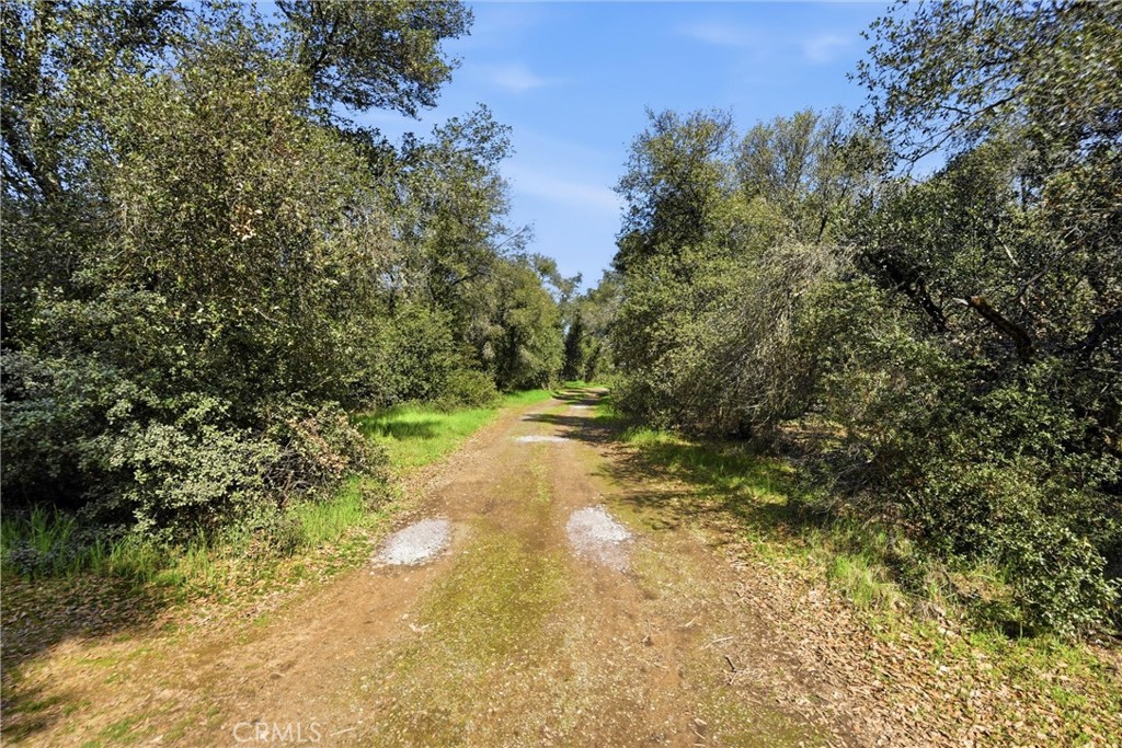 main property photo 11