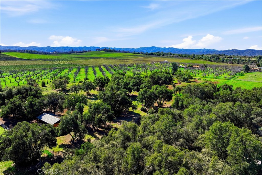 main property photo 25