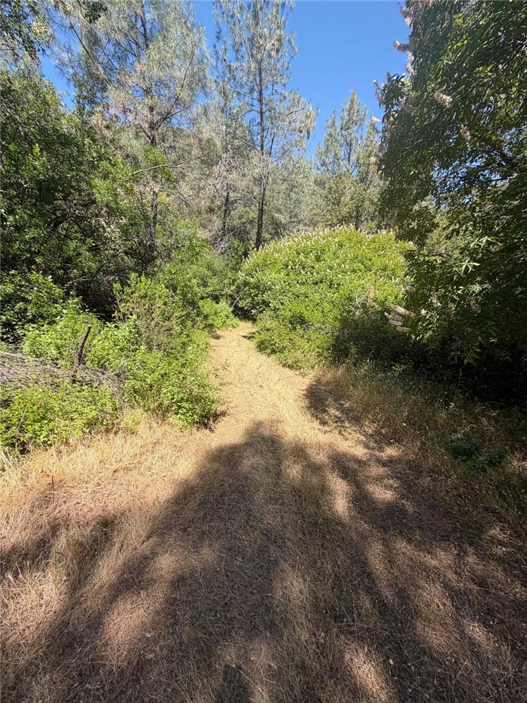 main property photo 9