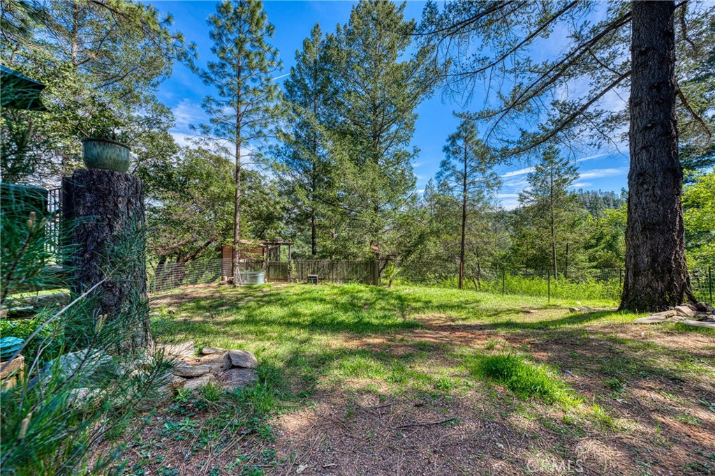 main property photo 61