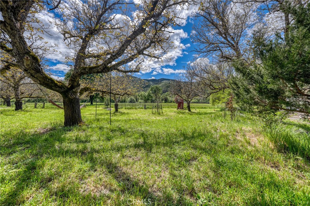 main property photo 58