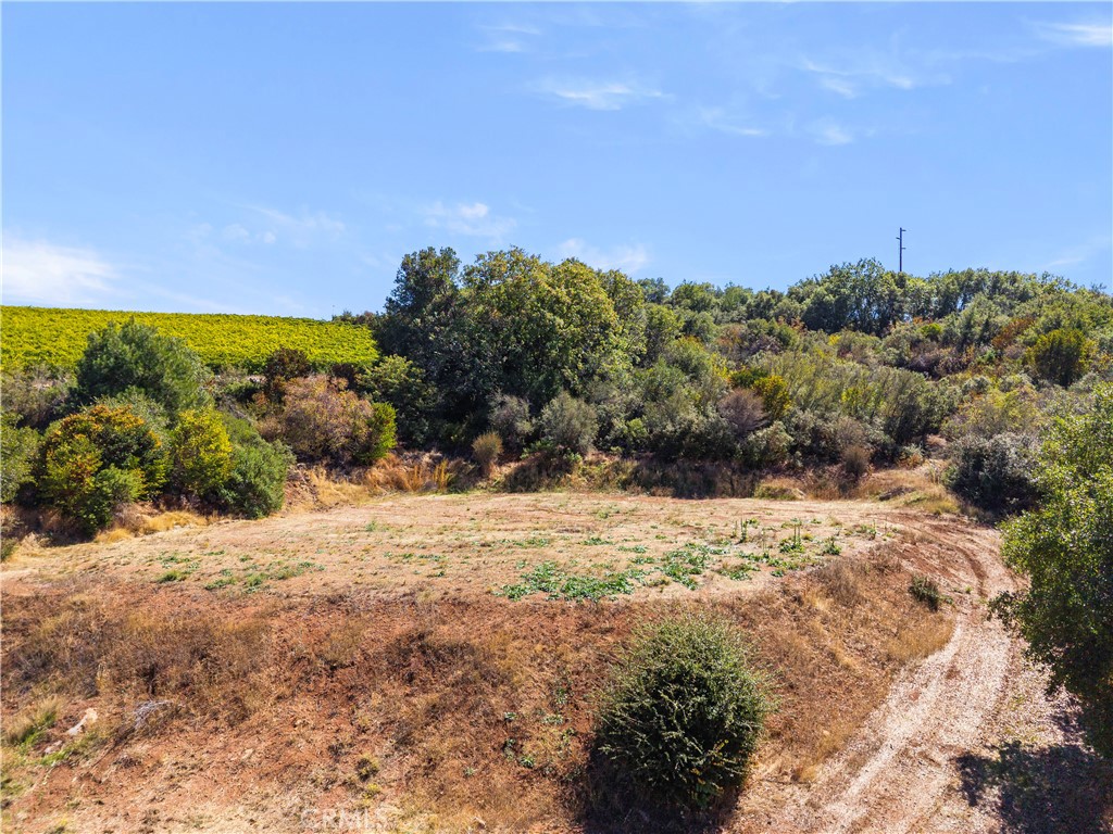 main property photo 52