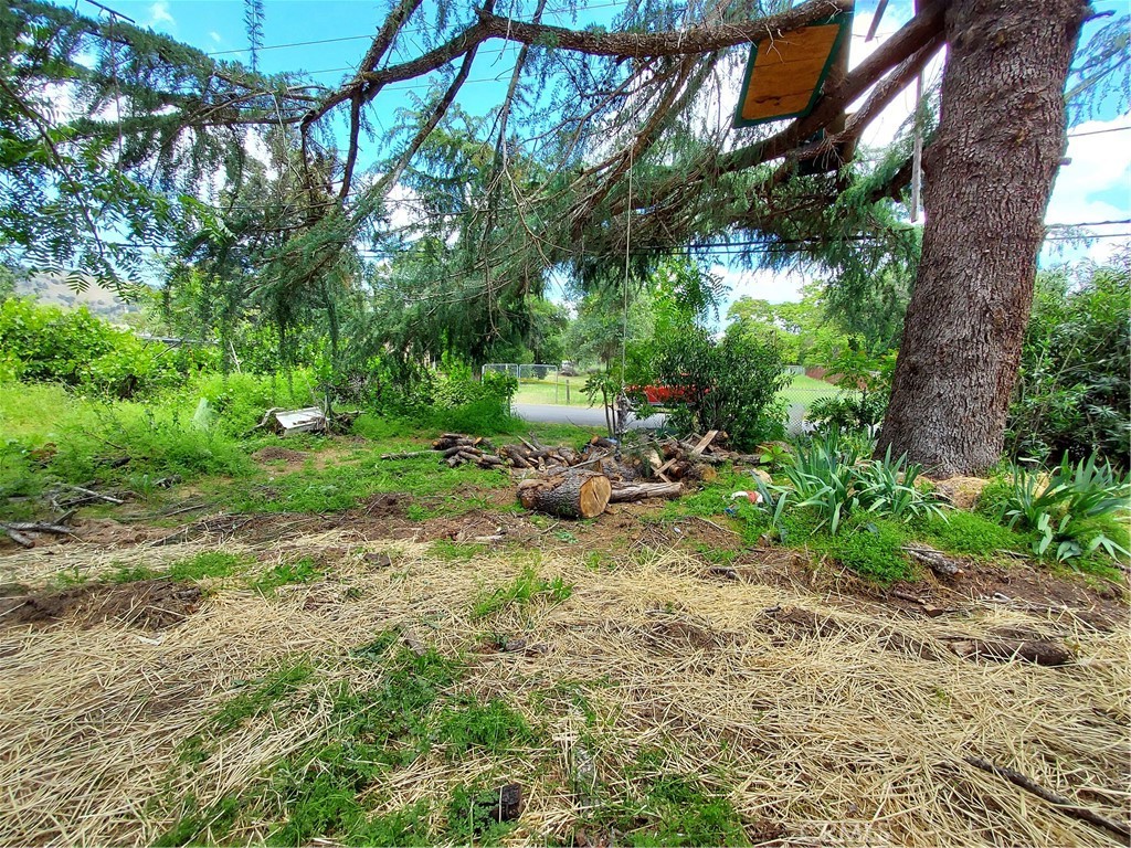 main property photo 9