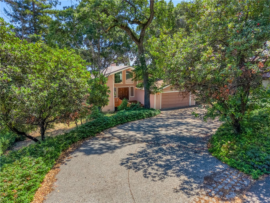 main property photo 46