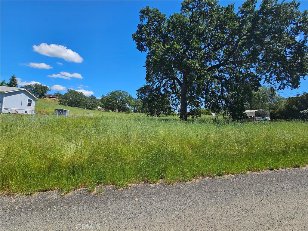 main property photo 12