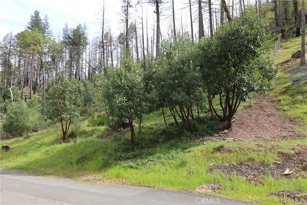 main property photo 12