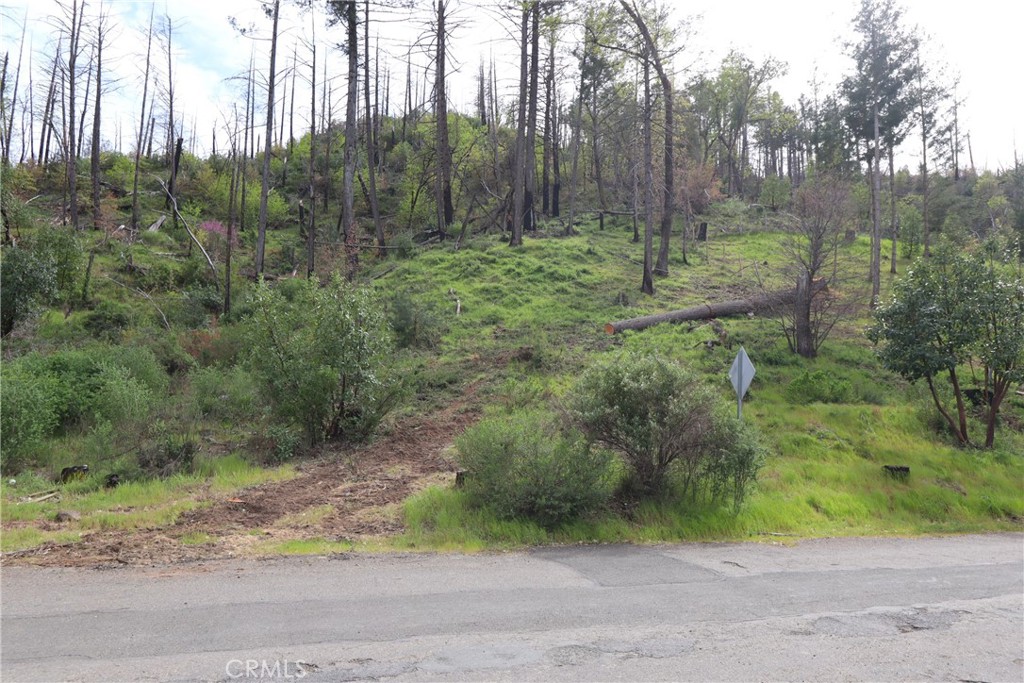 main property photo 17