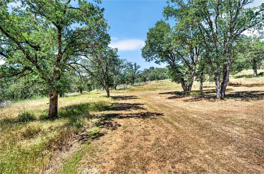 main property photo 26