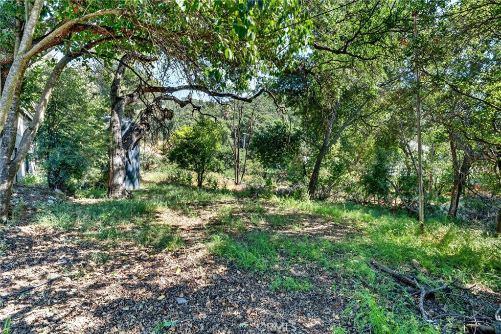 main property photo 39