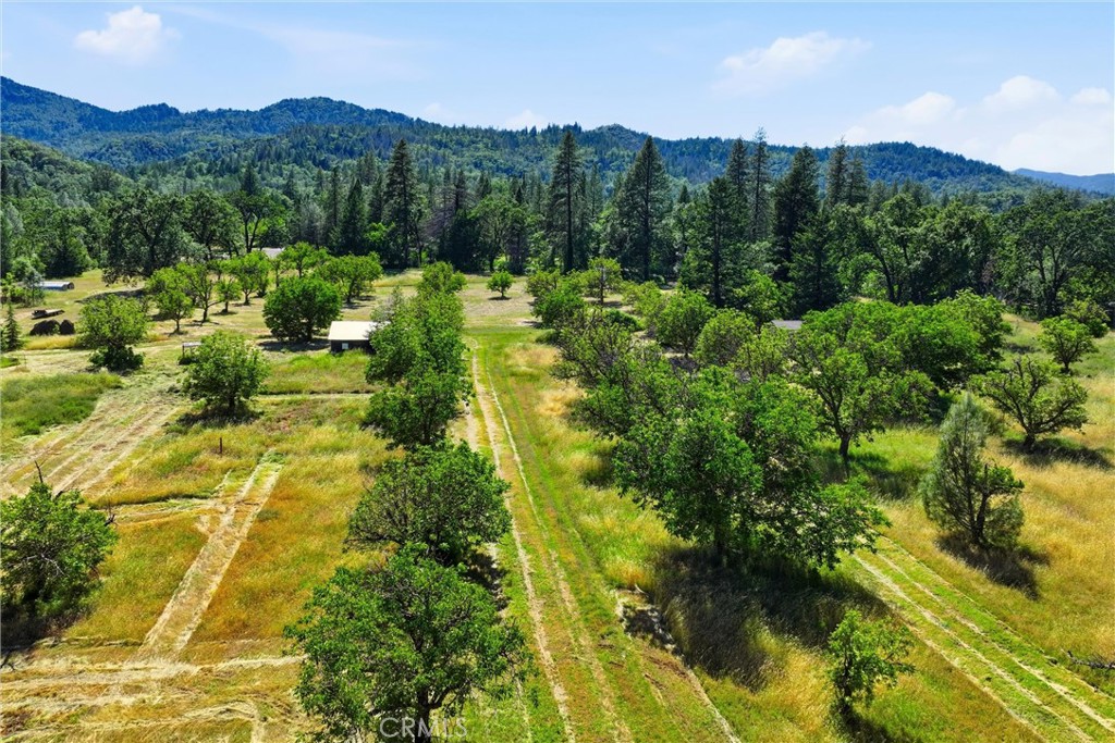 main property photo 54