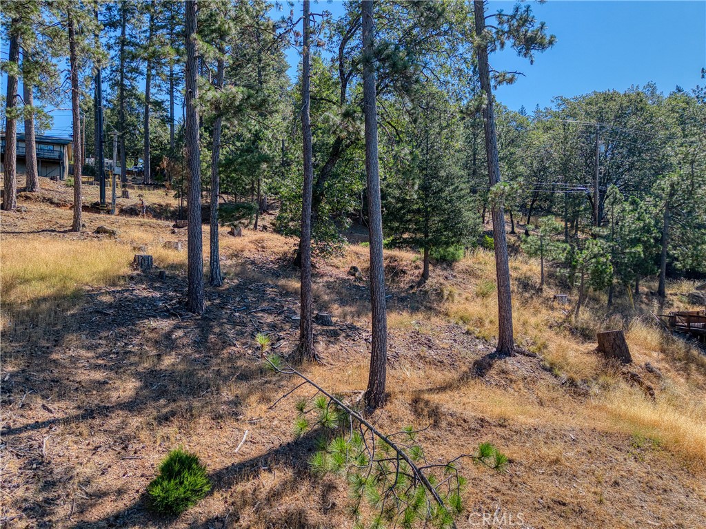 main property photo 6