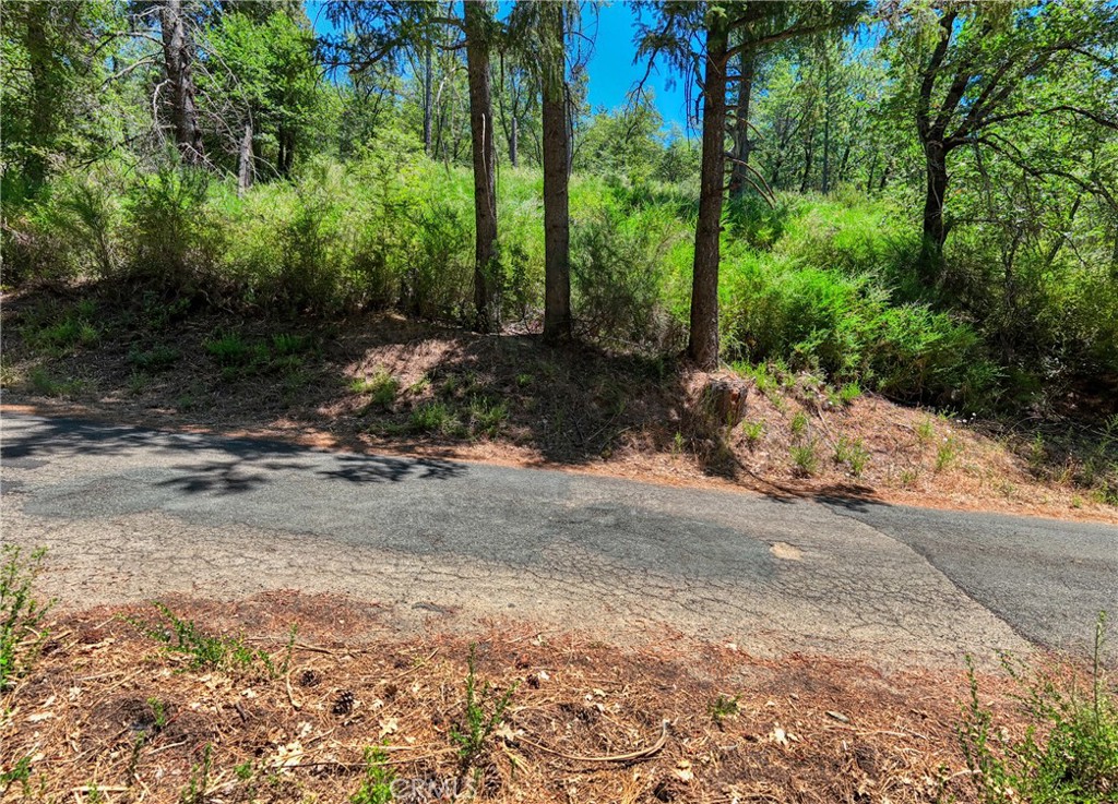 main property photo 13