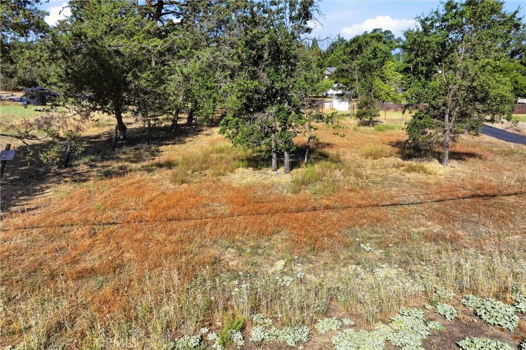 main property photo 11