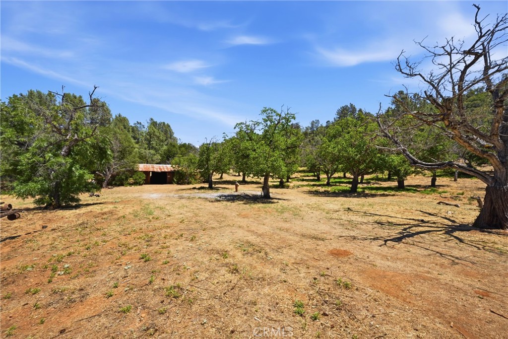 main property photo 43