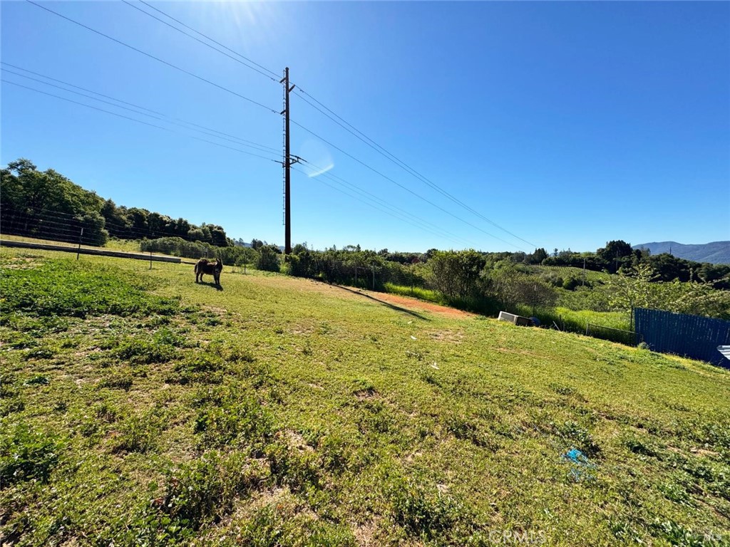 main property photo 53