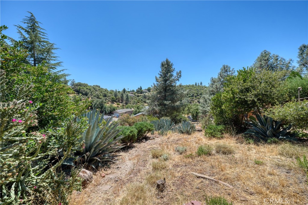main property photo 56