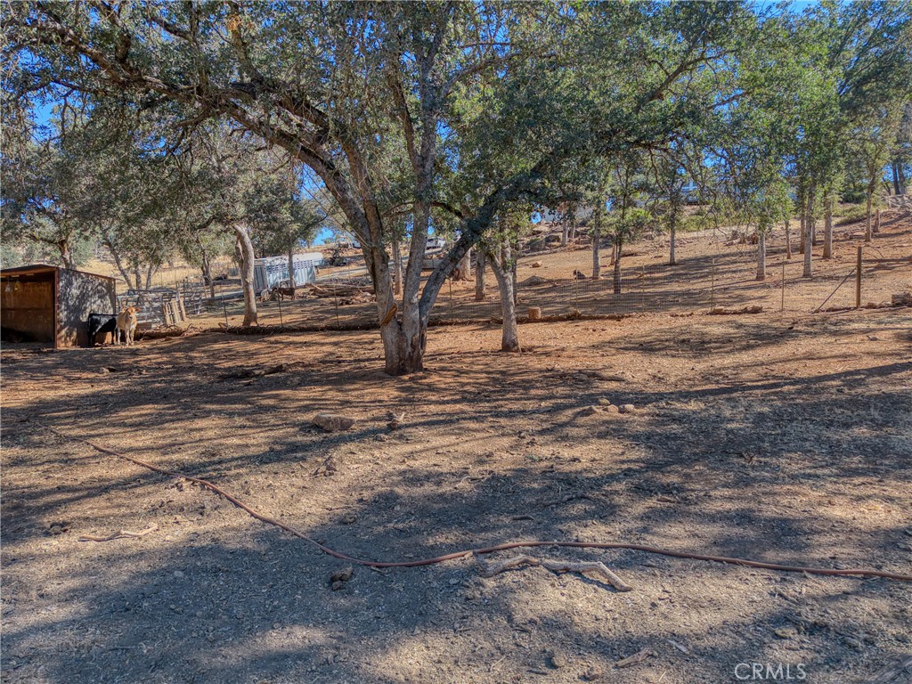 main property photo 47