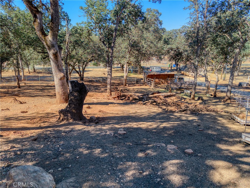 main property photo 52
